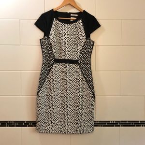 Black and White Polka Dot Dress